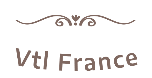 Vtlfrance