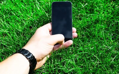 4 objets indispensables pour un jardin connecté